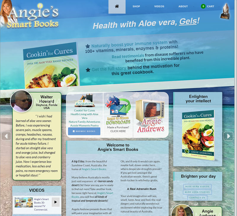 Angie's Smart Books Website 2019